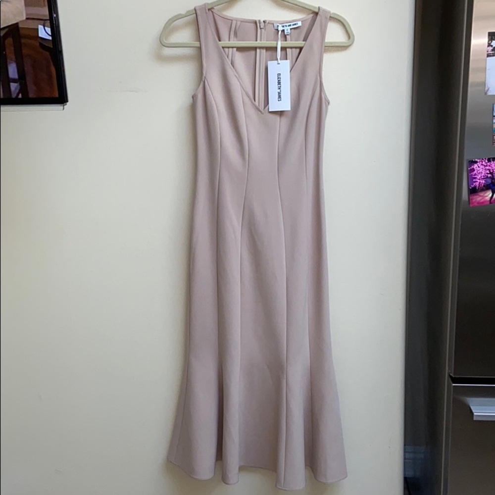 Elizabeth and James Blush Midi Dress